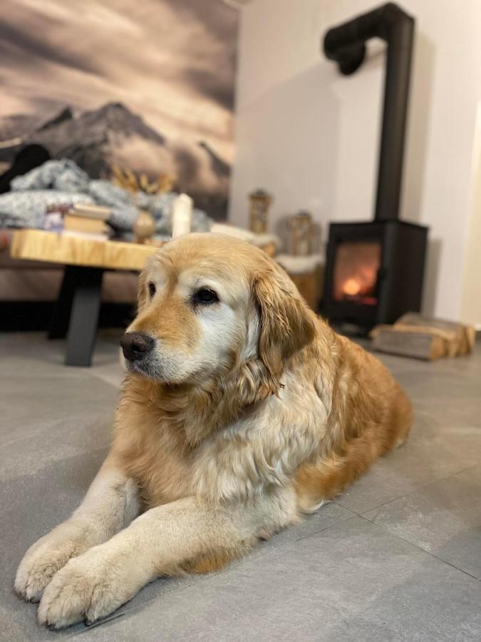 Willa Montana - Apartament Widokowy W Bukowinie Tatrzanskiej Bukowina Tatrzańska Dış mekan fotoğraf